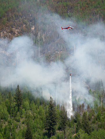 Helicopter dumping water on a forest fire in Kootenay National Park, British Columbia, Canada