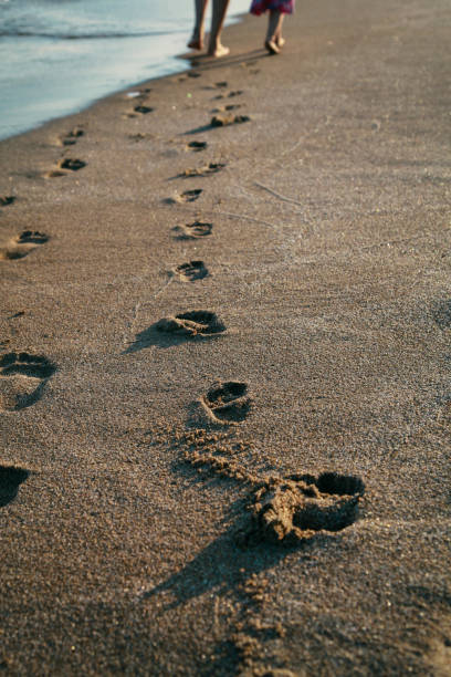 istock Steps in the sand by the sea 1492328286