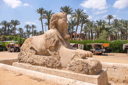 Sphinx Allee (Avenue of the Sphinxes) in a sunny day, Luxor, Egypt