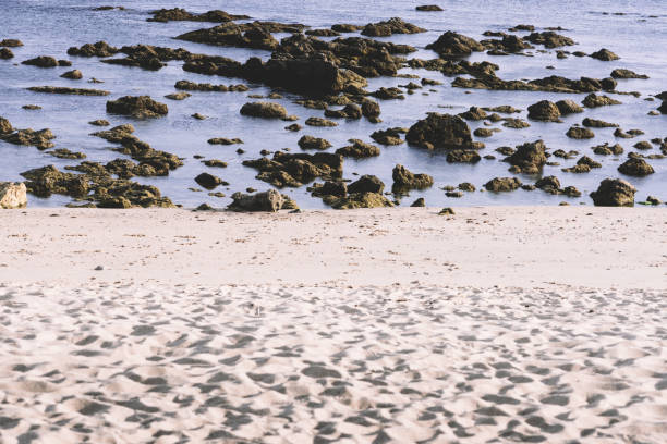 View of sandy beach at low tide revealing rocks on the ocean