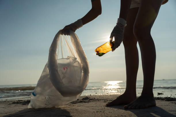 istock Save ocean. Volunteer pick up trash garbage at the beach and plastic bottles are difficult decompose prevent harm aquatic life. Earth, Environment, Greening planet, reduce global warming, Save world 1492342558
