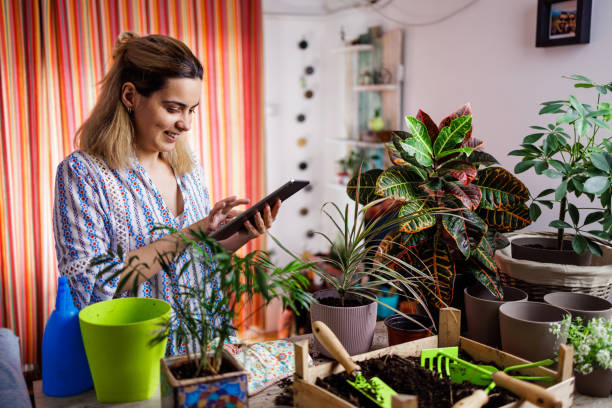 istock Happy housewife using digital tablet during springtime potting 1492343597