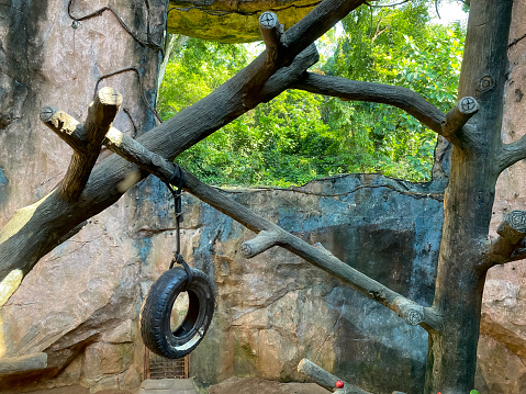 wooden monkey playground