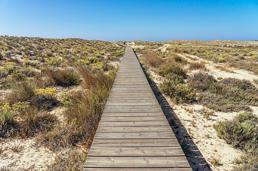 IWooden footpath to the Farol beach in the Culatra island in the Algarve region of Portugal in a sunny day.