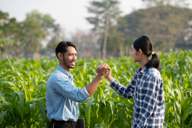 istock Working together, two clasped hands of young farmers, clasped hands while working for the farm. 1492346531