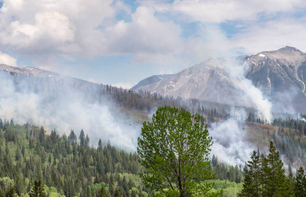 istock Distant Helicopters Fighting a Forest Fire in Kootenay 1492349229