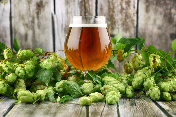 Glass of craft beer and fresh hop cones on a wooden background. stock photo