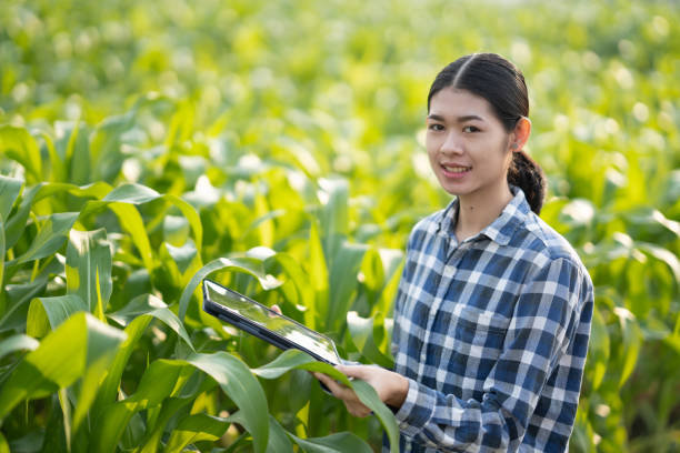 istock Female farmer using tablet at close range to collect data at the crop fields. Modern Agriculture concept, technology concept. 1492351610