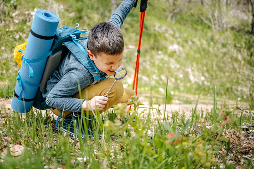 Child climbing on mountain in the spring. Boy having a look at flower in nature using magnifying glass.
