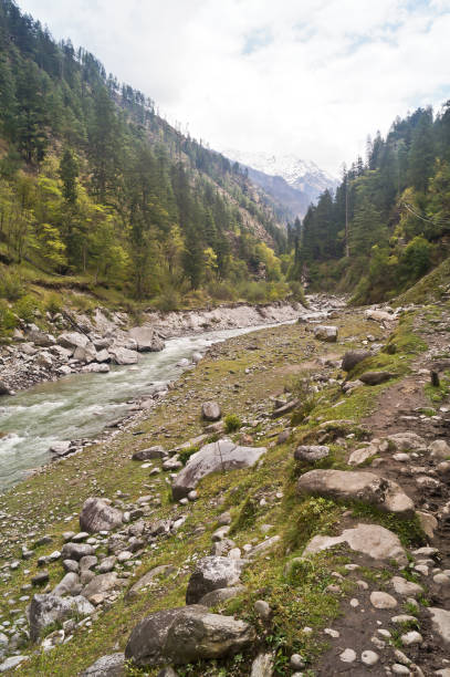istock Tons river flowing en route Har Ki Doon Valley in the Himalayas, Uttarakhand, India 1492354741