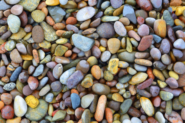 istock Pebbles Background, beach from Eastern Scotland, United Kingdom 1492356412