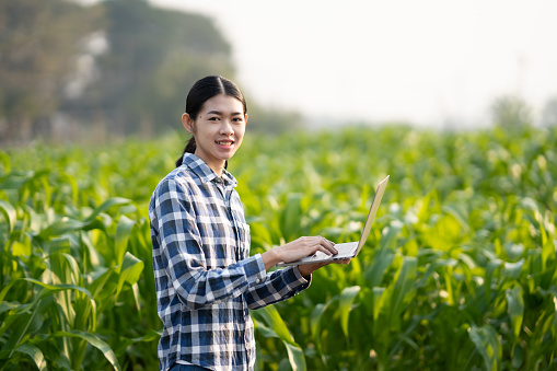Female farmer with laptop in field. young Asian famer adapt technology in the farm process by using laptop computer.
