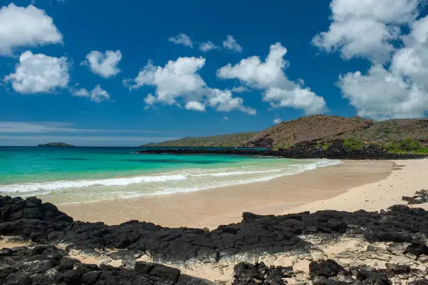 White Sand Beach also called Flour Sand Beach at  Punta Cormorant, Floreana Island; Charles Island; Galapagos Islands; Ecuador. Galapagos Islands National Park.