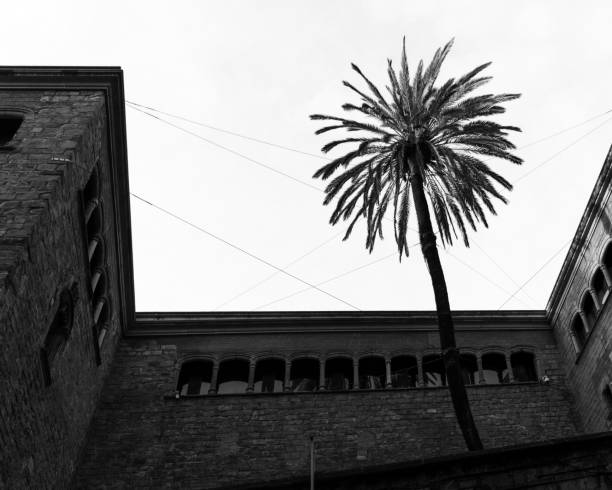 istock La Casa de l'Ardiaca 1492360311