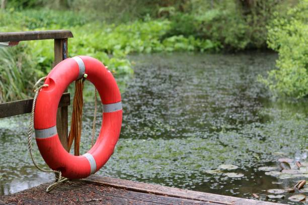 деревянный причал со спасательным кольцом с видом на озеро - inner tube swimming lake water стоковые фото и изображения