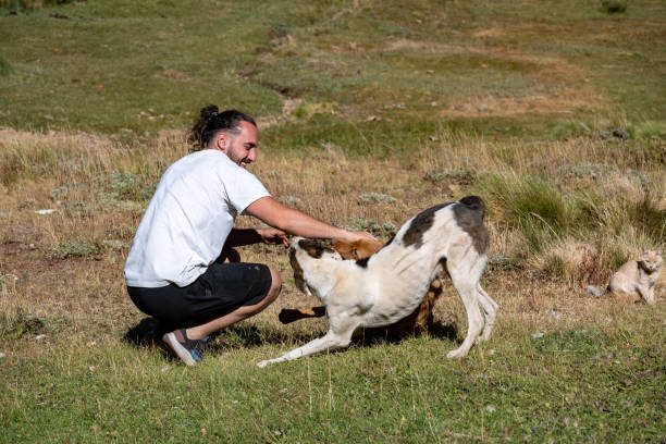 Young latin man playing with dogs.