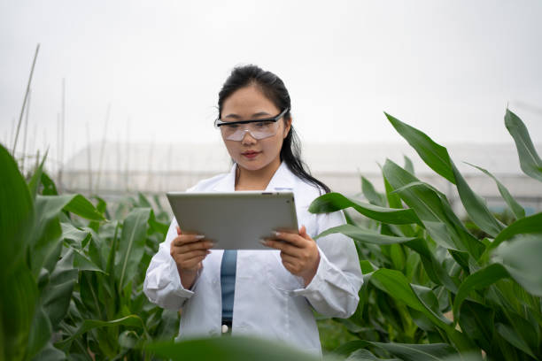 istock Young women evaluate plant growth and use tablets 1492367625