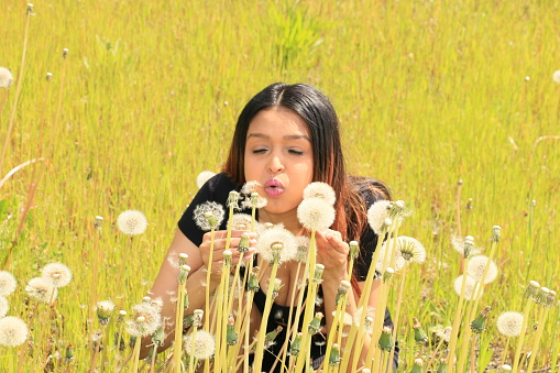 A Fijian woman in a patch of dandelions blowing seeds. She is wearing long straight brown hair and a black tshirt.