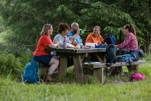 A shot of a group of friends sitting around a picnic table in an idyllic rural setting in The Lake District, North West England. There are food boxes, packets and flasks on the table, and the male is taking a drink from his bottle. The dog is sitting on one side of the table.