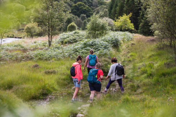 istock Hiking Together in a Beautiful Environment 1492373595