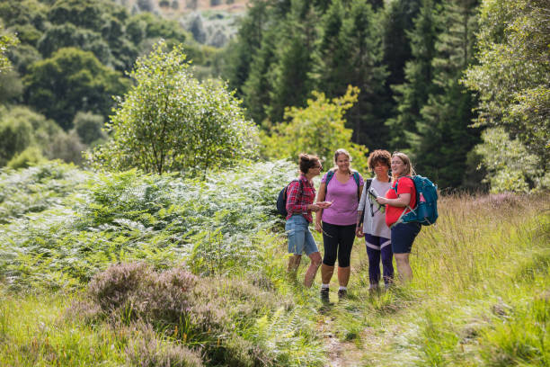 istock Friends Checking the Hiking Route 1492373604