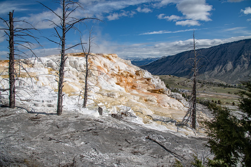 Mammoth Hot Springs in the Yellowstone Ecosystem of western USA in North America. Nearest cities are Gardiner, Cooke City, Bozeman, Billings Montana, Salt Lake City, Utah, Denver, Colorado and Jackson, Wyoming.