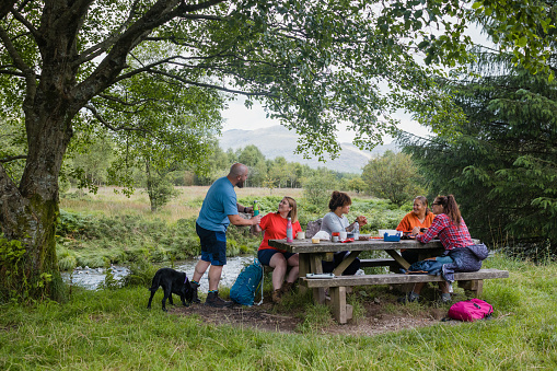 A wide shot of a group of friends and their Beagador dog enjoying a picnic together in the countryside of The Lake District, North West England. They are chatting and the picnic table is laid with food and drinks bottles.