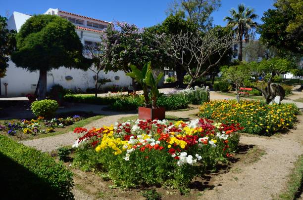 istock San Francisco Church Gardens, Tavira 1492377161