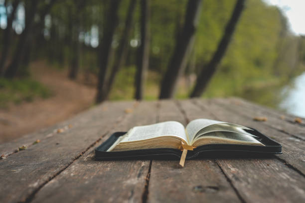 istock Open Bible on a wooden board near the river 1492378397