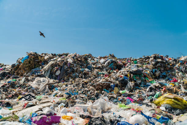istock Waste landfill. Environmental pollution. Birds flying around 1492379439