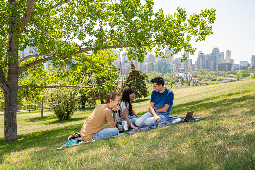 A group of LGBTQIA+ identifying young adults are hanging out in a scenic park streaming on their mobile devices.