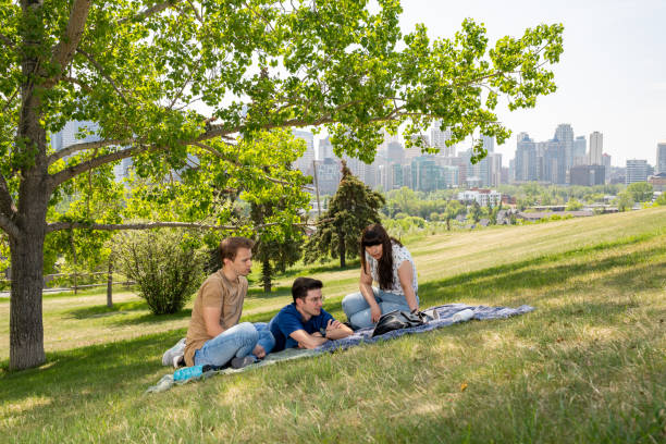 Friends hanging out in the park
