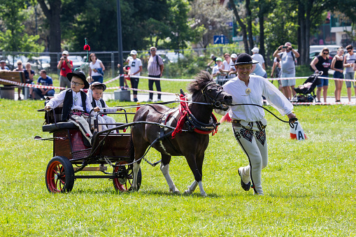As every year, the horse-drawn carriage show inaugurates the International Festival of Mountain Folklore in Zakopane. The show is attended by highlander children - future adepts of the art of driving.