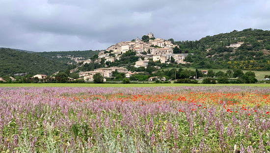 Wild flowers and a medieval village