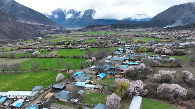 Aerial footage of spring landscape in tibet,China