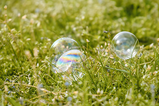 Soap bubbles with rainbow colors on green grass lawn