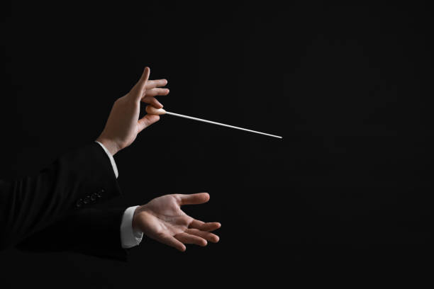 istock Professional conductor with baton on black background, closeup. Space for text 1492387703