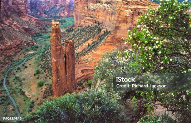Spider Rock Canyon De Chelly Nm Chinle Az Stock Photo - Download Image Now - Arizona, Beauty, Beauty In Nature