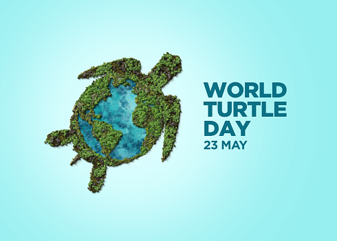 World Turtle Day Template Design. World oceans day concept, turtle underwater with many beautiful coral, help to protect animal and environment