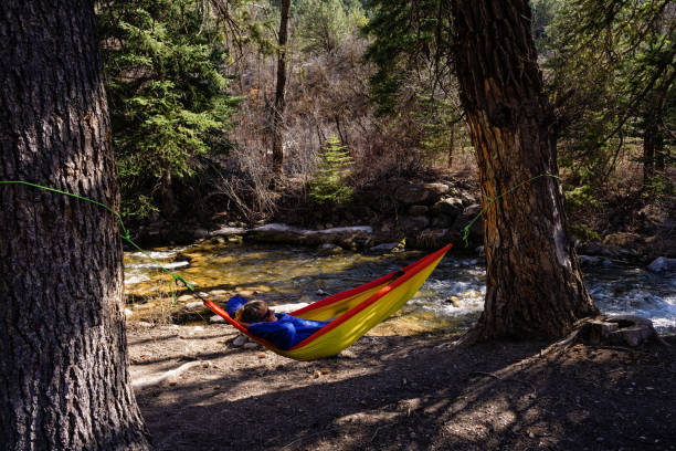 istock Man Relaxing in Hammock Next to Creek 1492391764