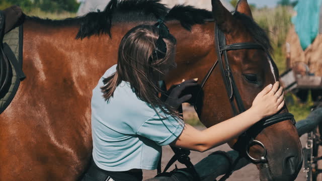 Happy Woman Stroking Horse on Ranch in Nature, Slow Motion