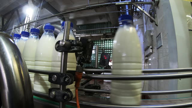 Automated milk filling.