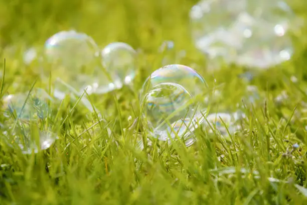 Many soap bubbles scatter in green grass. Shallow depth of field