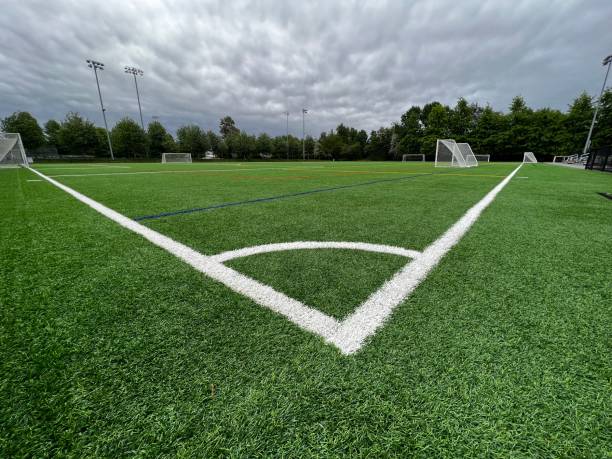 istock Freshly Marked Sports Playing Field 1492399463