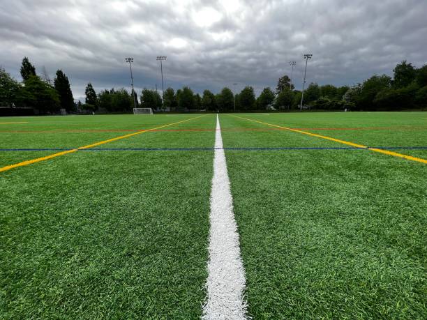 istock Freshly Marked Sports Playing Field 1492399468