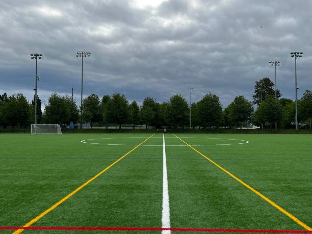 istock Freshly Marked Sports Playing Field 1492399473