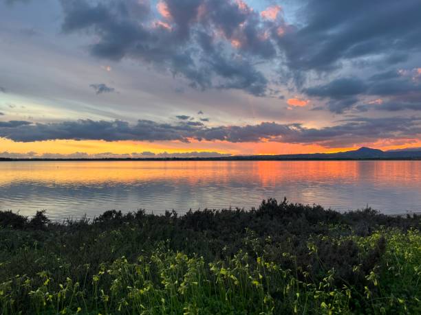 istock Colourful Sunset at Larnaca Salt Lake 1492402260