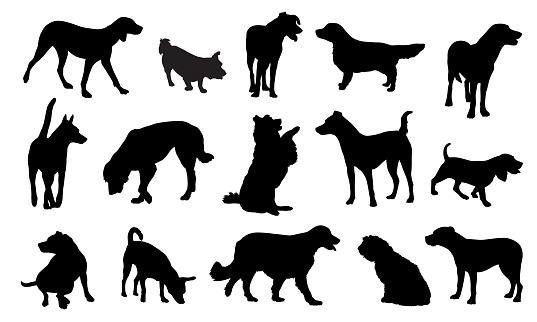 Vector illustration of fifteen dog silhouettes on a white background.