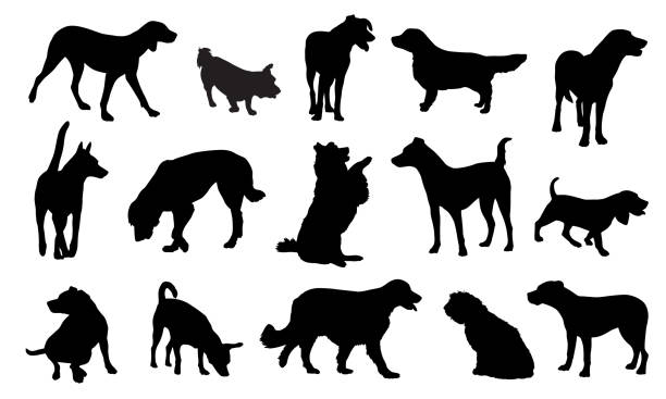 Dog Silhuettes Vector illustration of fifteen dog silhouettes on a white background. mixed breed dog stock illustrations