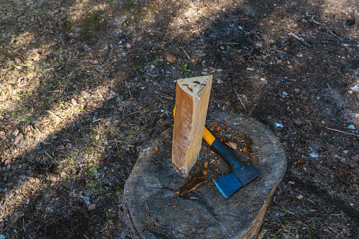 Firewood and a hatchet on the tree log. Eco tourism concept